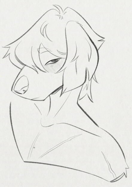 Bust Sketch